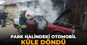 PARK HALİNDEKİ OTOMOBİL KÜLE DÖNDÜ