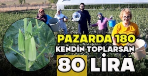 PAZARDA 180, KENDİN TOPLARSAN  80 LİRA