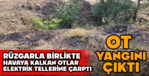 RÜZGARLA BİRLİKTE  HAVAYA KALKAN OTLAR ELEKTRİK TELLERİNE ÇARPTI, OT YANGINI ÇIKTI