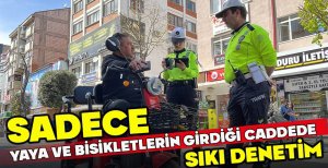 SADECE YAYA VE BİSİKLETLERİN GİRDİĞİ CADDEDE SIKI DENETİM