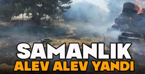 SAMANLIK ALEV ALEV YANDI