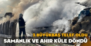 SAMANLIK VE AHIR KÜLE DÖNDÜ