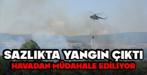 SAZLIKTA YANGIN ÇIKTI... HAVADAN MÜDAHALE EDİLİYOR