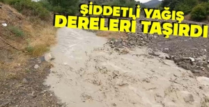 ŞİDDETLİ YAĞIŞ DERELERİ TAŞIRDI