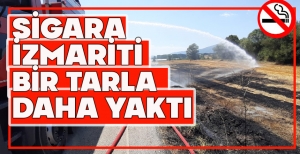 SİGARA İZMARİTİ BİR TARLA DAHA YAKTI