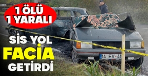 SİS YOL FACİA GETİRDİ: 1 ÖLÜ 1 YARALI
