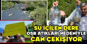 SU İÇİLEN DERE OSB ATIKLARI NEDENİYLE CAN ÇEKİŞİYOR
