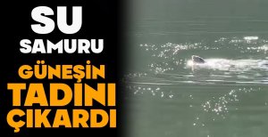 SU SAMURU GÜNEŞİN TADINI ÇIKARDI