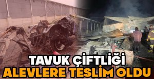 TAVUK ÇİFTLİĞİ ALEVLERE TESLİM OLDU