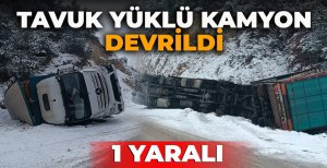 TAVUK YÜKLÜ KAMYON DEVRİLDİ: 1 YARALI