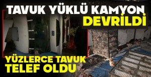 TAVUK YÜKLÜ KAMYON DEVRİLDİ: YÜZLERCE TAVUK TELEF OLDU