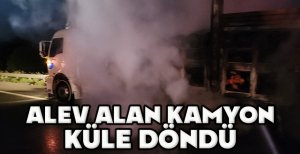 TEM'DE ALEV ALAN KAMYON KÜLE DÖNDÜ