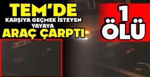TEM’DE KARŞIYA GEÇMEK İSTEYEN YAYAYA ARAÇ ÇARPTI: 1 ÖLÜ