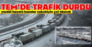TEM’DE TRAFİK DURDU