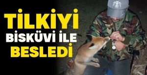 TİLKİYİ BİSKÜVİ İLE BESLEDİ