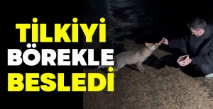 TİLKİYİ BÖREKLE BESLEDİ