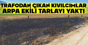 TRAFODAN ÇIKAN KIVILCIMLAR ARPA EKİLİ TARLAYI YAKTI