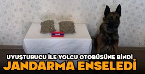 UYUŞTURUCU İLE YOLCU OTOBÜSÜNE BİNDİ...JANDARMA ENSELEDİ