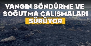 YANGINDAN ETKİLENEN ALANDA SÖNDÜRME VE  SOĞUTMA ÇALIŞMALARI SÜRÜYOR