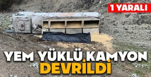 YEM YÜKLÜ KAMYON DEVRİLDİ: 1 YARALI