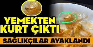 YEMEKTEN KURT ÇIKTI, SAĞLIKÇILAR AYAKLANDI