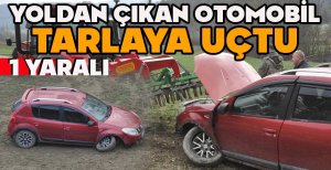 YOLDAN ÇIKAN OTOMOBİL TARLAYA UÇTU: 1 YARALI