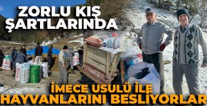 ZORLU KIŞ ŞARTLARINDA İMECE USULÜYLE HAYVANLARINI BESLİYORLAR