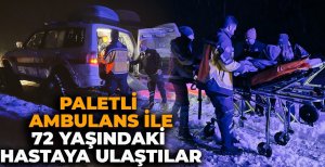 ZORLU KIŞ ŞARTLARINDA PALETLİ AMBULANS İLE 72 YAŞINDAKİ HASTAYA ULAŞTILAR