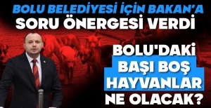 AKGÜL BOLU'DAKİ SOKAK HAYVANLARI İÇİN ÖNERGE VERDİ....