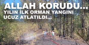 ALLAH KORUDU... YILIN İLK ORMAN YANGINI UCUZ ATLATILDI...