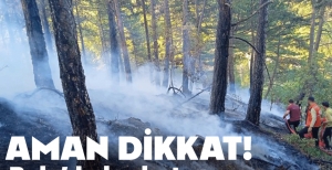 AMAN DİKKAT.... ORMAN YANGINI BÜYÜMEDEN SÖNDÜRÜLDÜ