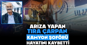 ARIZA YAPAN TIRA ÇARPAN KAMYON ŞOFÖRÜ HAYATINI KAYBETTİ