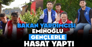BAKAN YARDIMCISI EMİNOĞLU GENÇLERLE HASAT YAPTI