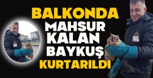 BALKONDA MAHSUR KALAN  BAYKUŞ KURTARILDI