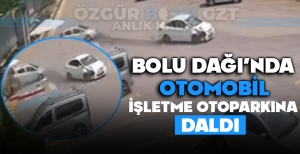 BOLU DAĞI'NDA OTOMOBİL, İŞLETME OTOPARKINA DALDI