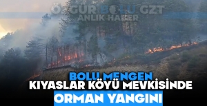 BOLU MENGEN KIYASLAR KÖYÜ MEVKİSİNDE ORMAN YANGINI