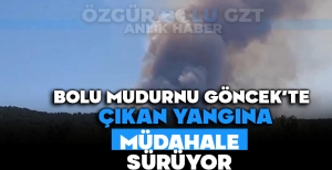 BOLU MUDURNU GÖNCEK'TE ÇIKAN YANGINA MÜDAHALE SÜRÜYOR