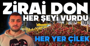 BOLU PAZARINDA ÇİLEK BOLLUĞU...