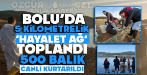 BOLU'DA 5 KİLOMETRELİK HAYALET AĞ TOPLANDI: 500 BALIK CANLI KURTARILDI