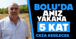 BOLU'DA ANIZ YAKANA CEZALAR ARTTI