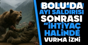 BOLU'DA AYI SALDIRISI... İŞTE DETAYLAR...