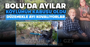 BOLU'DA AYILAR KÖYLÜNÜN KABUSU OLDU: DÜZENEKLE AYI KOVALIYORLAR