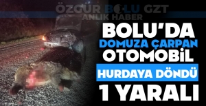 BOLU'DA DOMUZA ÇARPAN OTOMOBİL HURDAYA DÖNDÜ: 1 YARALI