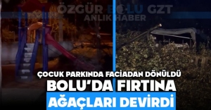 BOLU'DA FIRTINA AĞAÇLARI DEVİRDİ