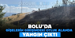 BOLU'DA GİŞELERİN GİRİŞİNDEKİ OTLUK ALANDA YANGIN ÇIKTI
