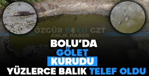 BOLU'DA GÖLET KURUDU: YÜZLERCE BALIK TELEF OLDU
