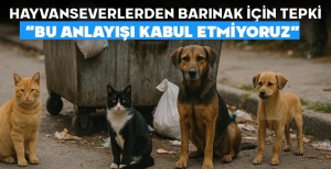 BOLU’DA HAYVAN HAKLARI AKTİVİSTLERİNDEN BARINAK İÇİN TEPKİ... "KARARLA İLGİLİ ACİLEN SORUŞTURMA BAŞLATILMALI"