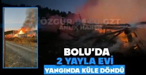 BOLU'DA İKİ YAYLA EVİ YANGINDA KÜLE DÖNDÜ