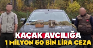 BOLU'DA KAÇAK AVCILIĞA GEÇİT YOK....