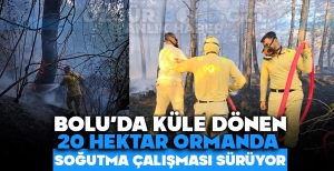 BOLU'DA KÜLE DÖNEN 20 HEKTAR ORMANDA, SOĞUTMA ÇALIŞMASI SÜRÜYOR